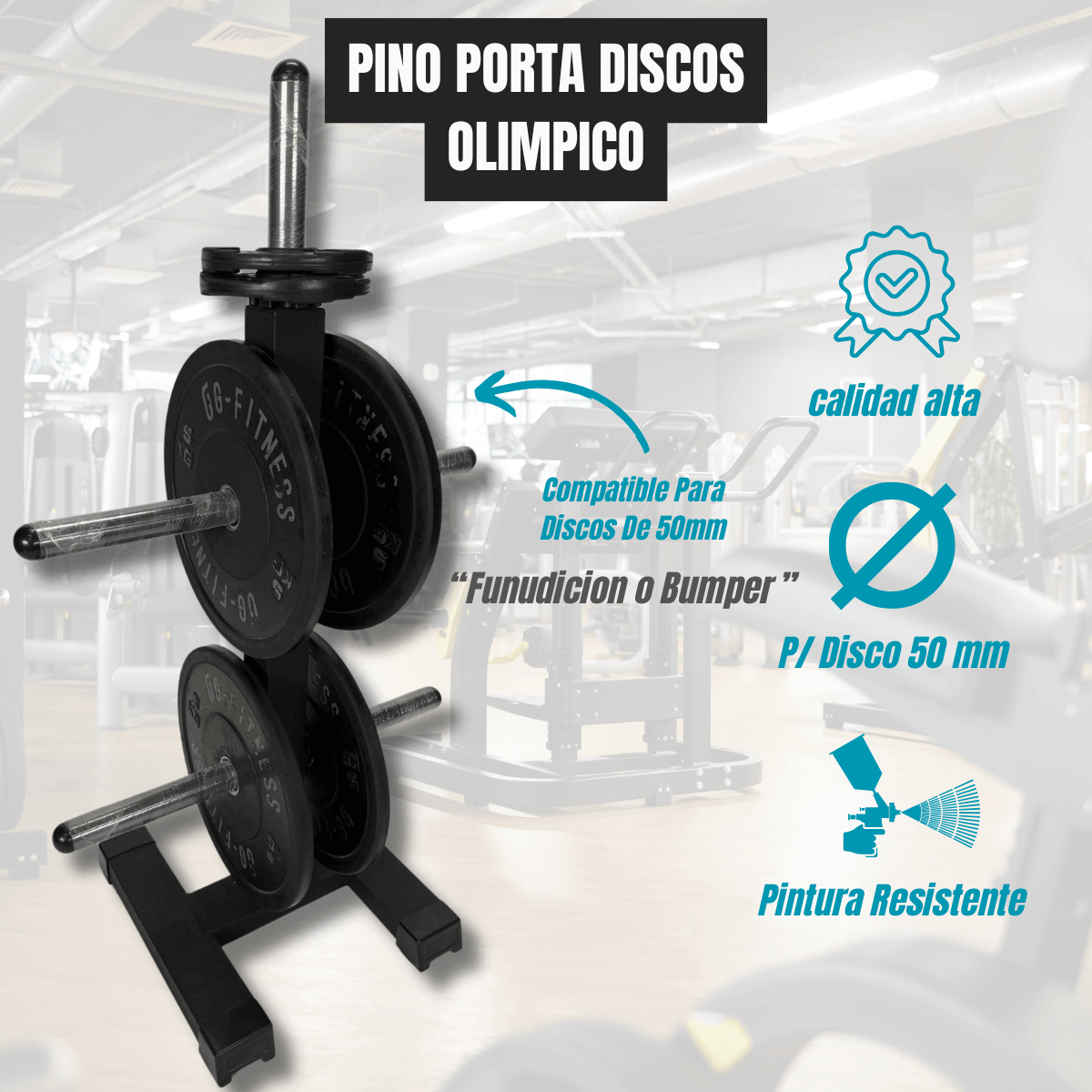 PINO PORTA DISCOS 5 NIVELES